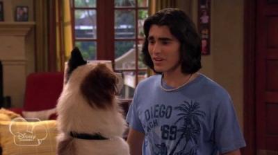 Dog with a Blog