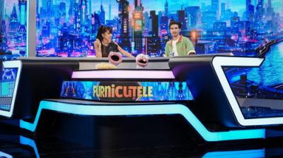 Furnicuțele
