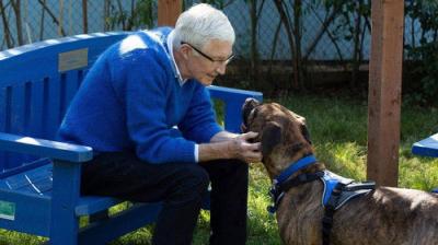 For the Love of Dogs