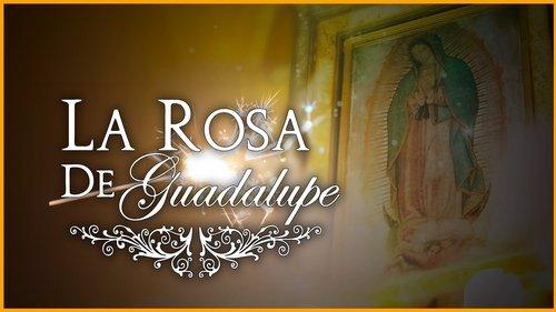 La rosa de Guadalupe filmas žiurėti online