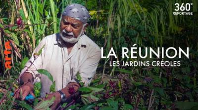 ARTE 360° Reportage