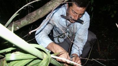 Man vs. Wild
