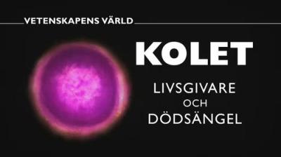 Vetenskapens värld