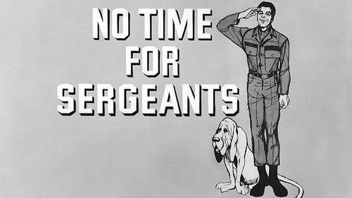 No Time for Sergeants filmas žiurėti online