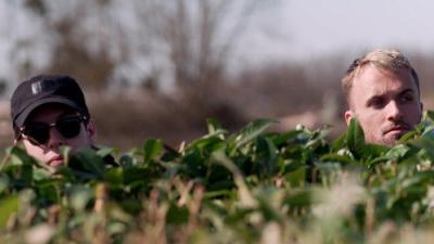Celebrity Hunted : Chasse à l'homme