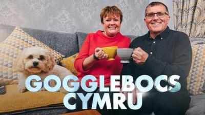 Gogglebocs Cymru
