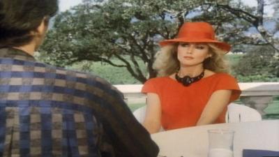 Falcon Crest