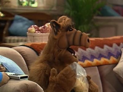 ALF