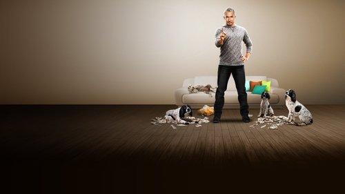Dog Whisperer filmas žiurėti online