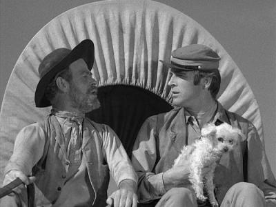 Rawhide