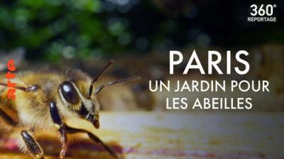 ARTE 360° Reportage