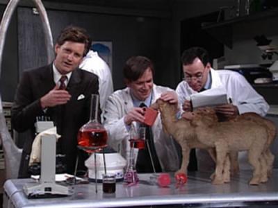 Saturday Night Live