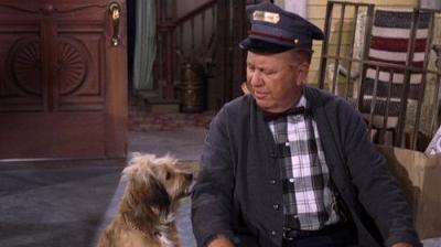 Petticoat Junction