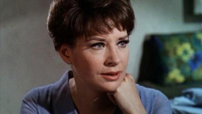 The Fugitive