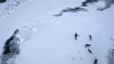 Life Below Zero