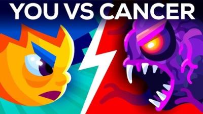 Kurzgesagt - In a Nutshell