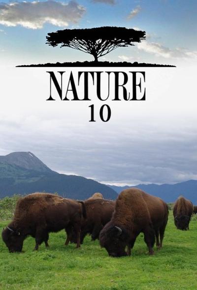 Nature filmas online