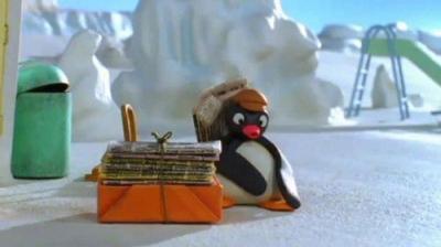 Pingu