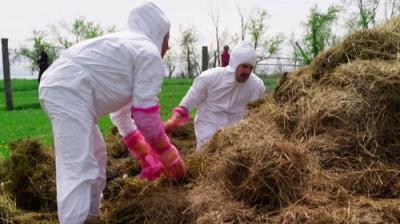 The Amazing Race Canada