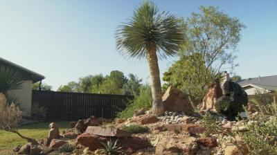 Oklahoma Gardening