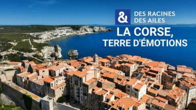Des racines & des ailes