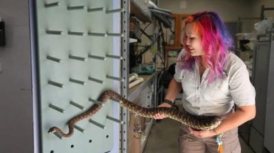 Taronga: Who's Who In The Zoo