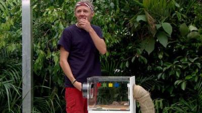 I'm a Celebrity...Get Me Out of Here!