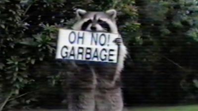Funniest Pets & People