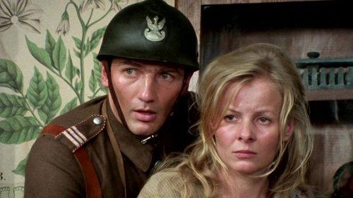 Polskie drogi filmas žiurėti online