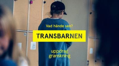 Uppdrag granskning