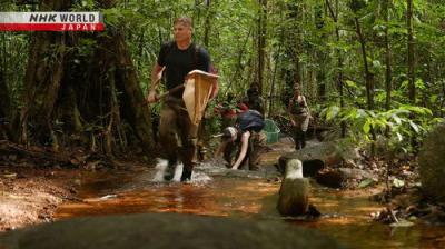 NHK WORLD PRIME