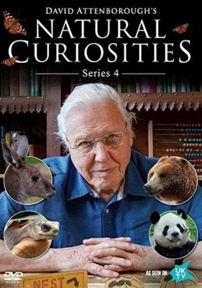 David Attenborough's Natural Curiosities filmas online