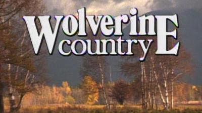 Marty Stouffer's Wild America