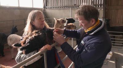 The Yorkshire Vet