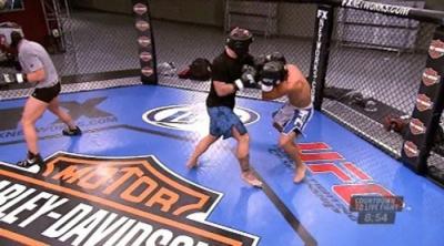 The Ultimate Fighter