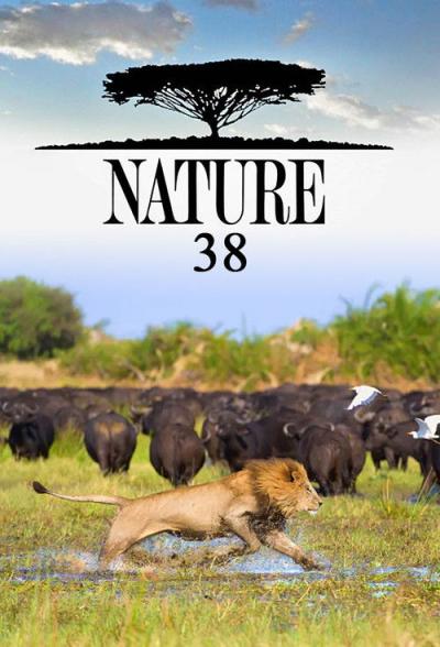 Nature filmas online