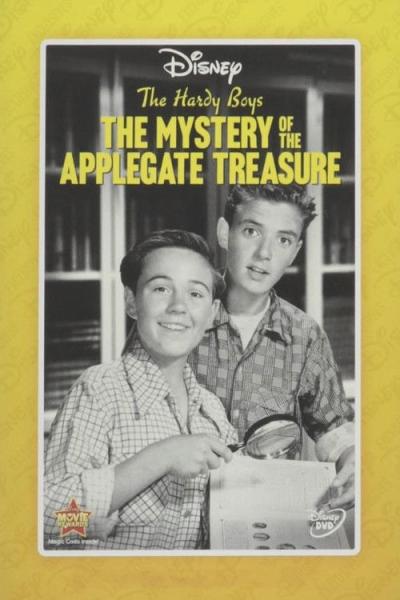 The Hardy Boys filmas online