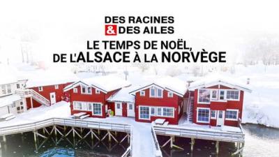 Des racines & des ailes
