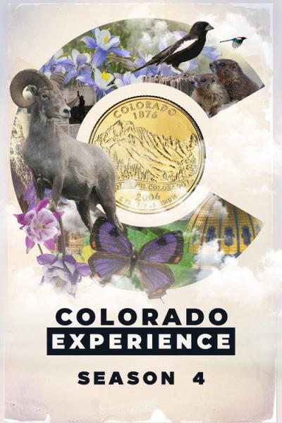 Colorado Experience filmas online