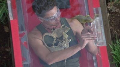 I'm a Celebrity...Get Me Out of Here!