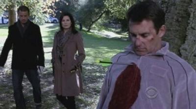 CSI: NY