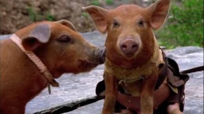 Heraklis. Legendinės kelionės