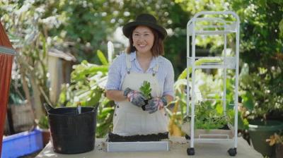 Gardening Australia