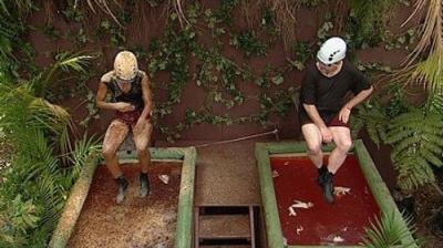 I'm a Celebrity...Get Me Out of Here!