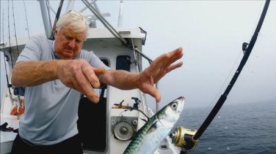 Wicked Tuna