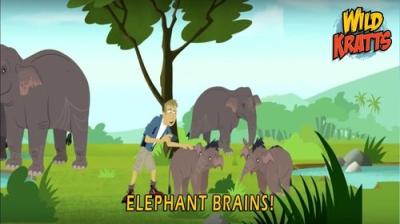 Wild Kratts