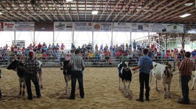 The Incredible Dr. Pol