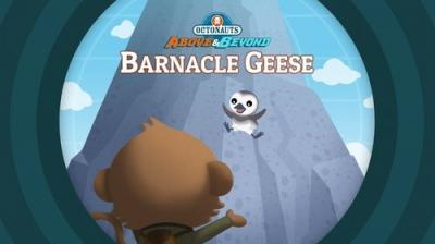 Octonauts: Above & Beyond