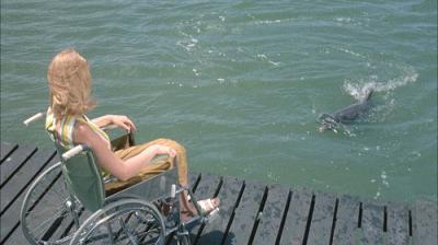 Flipper