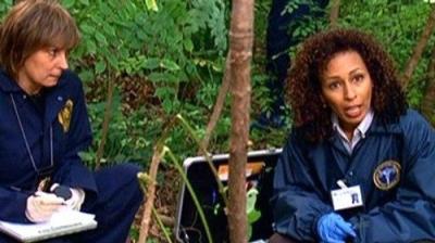 Įstatymas ir tvarka. Specialiųjų tyrimų skyrius